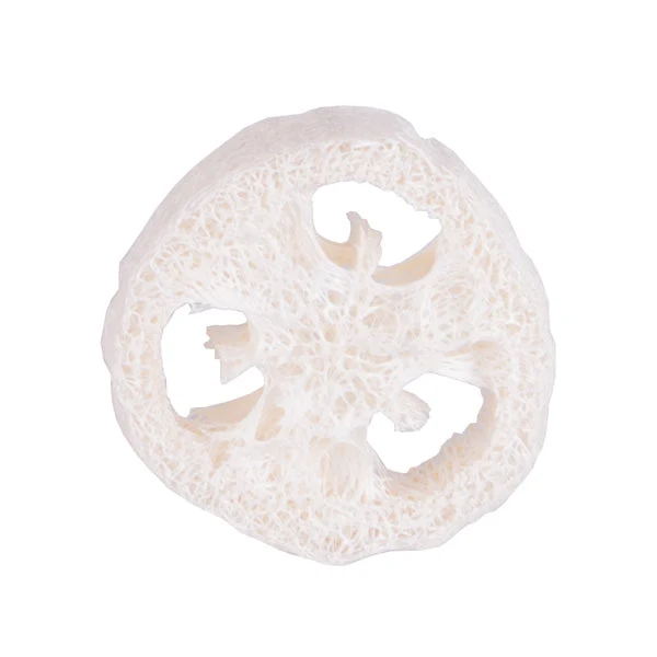 Luffa - luonnollinen sieni kuivatusta kurpitsasta - Image 2