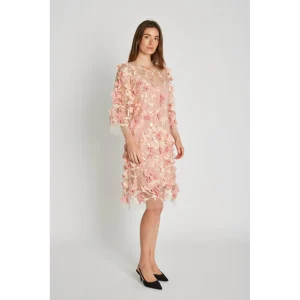 Poppy mekko