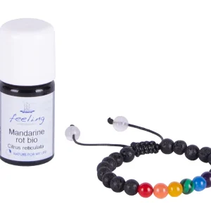 Regenbogen tuoksusetti lapsille