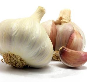 Valkosipuliöljy 10:90 soijaöljyssä Allium sativum